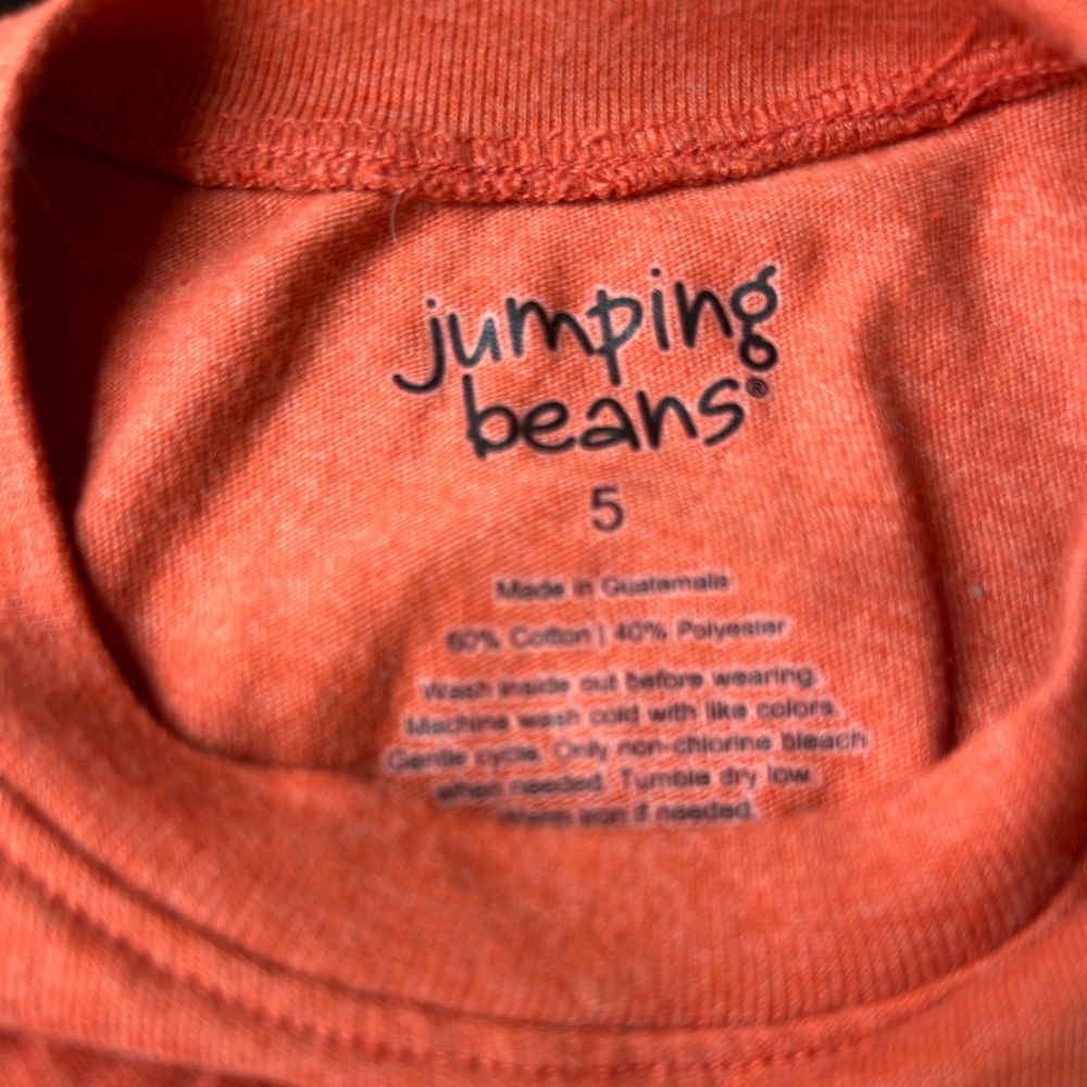 Lot of 2 Jumping Beans long sleeve shirts, Boys size 5 - Picture 3 of 5